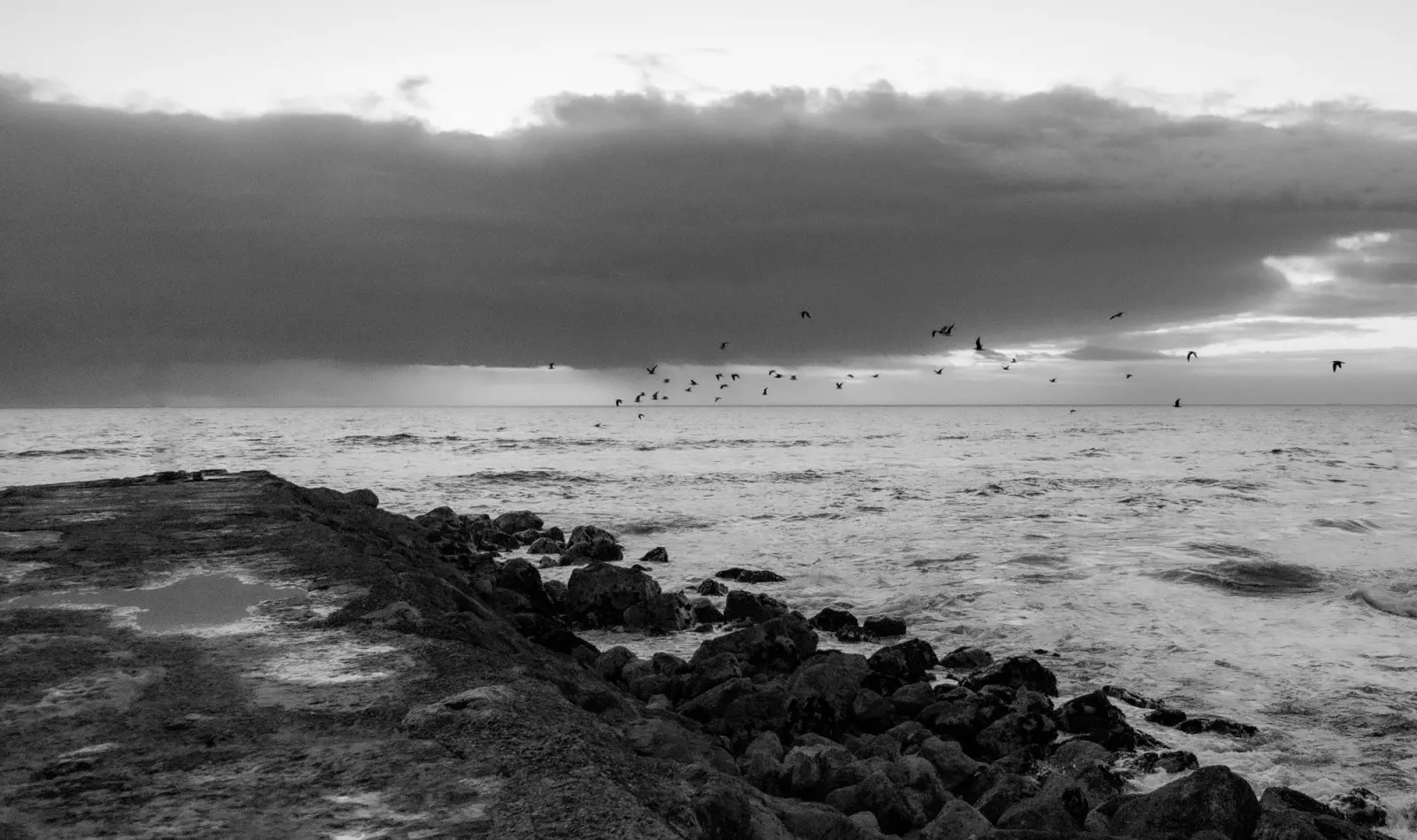 Banner image 5/5