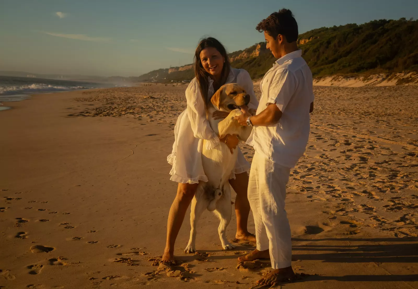 Banner image 2/2