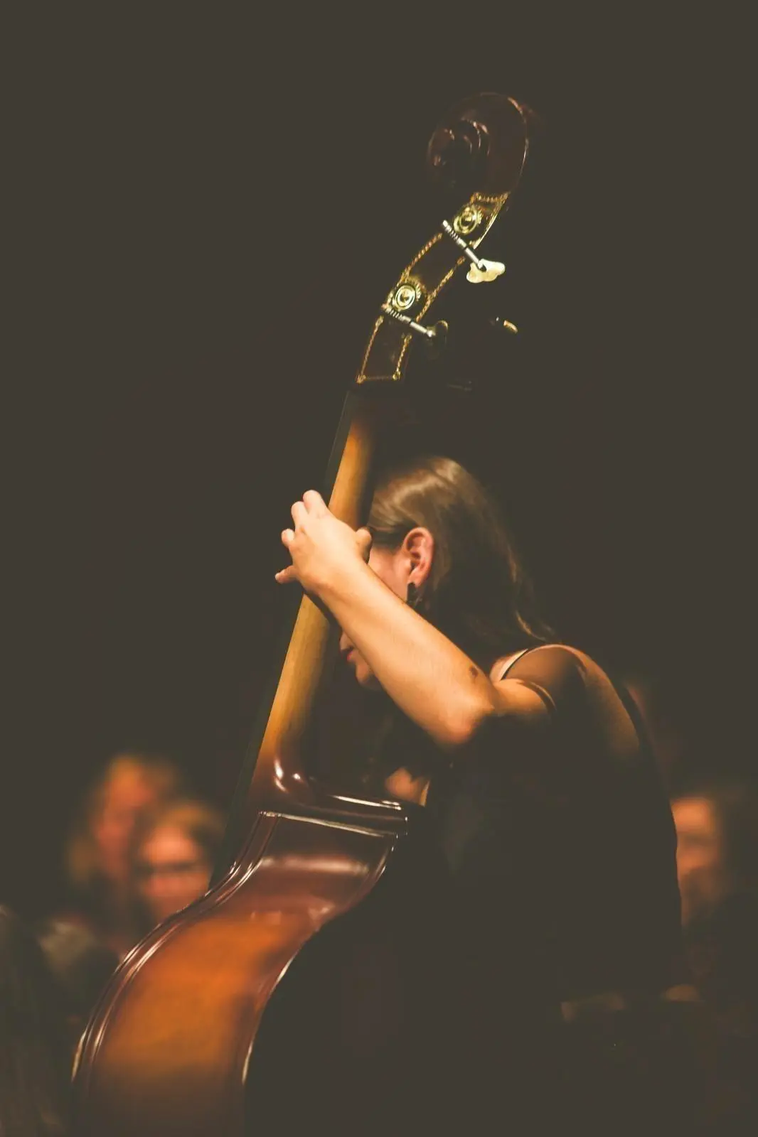 Banner image 6/6