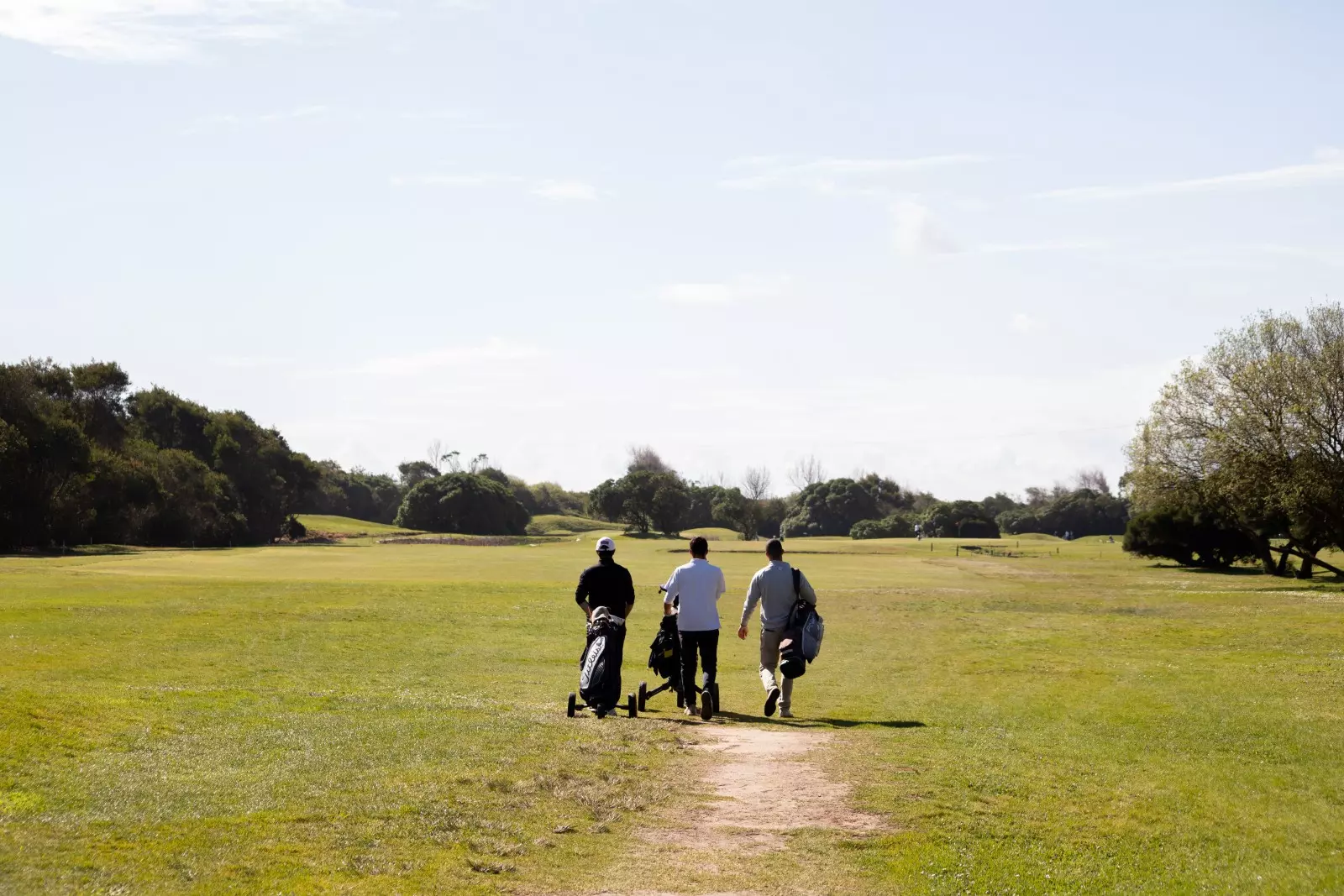 Banner image 3/3