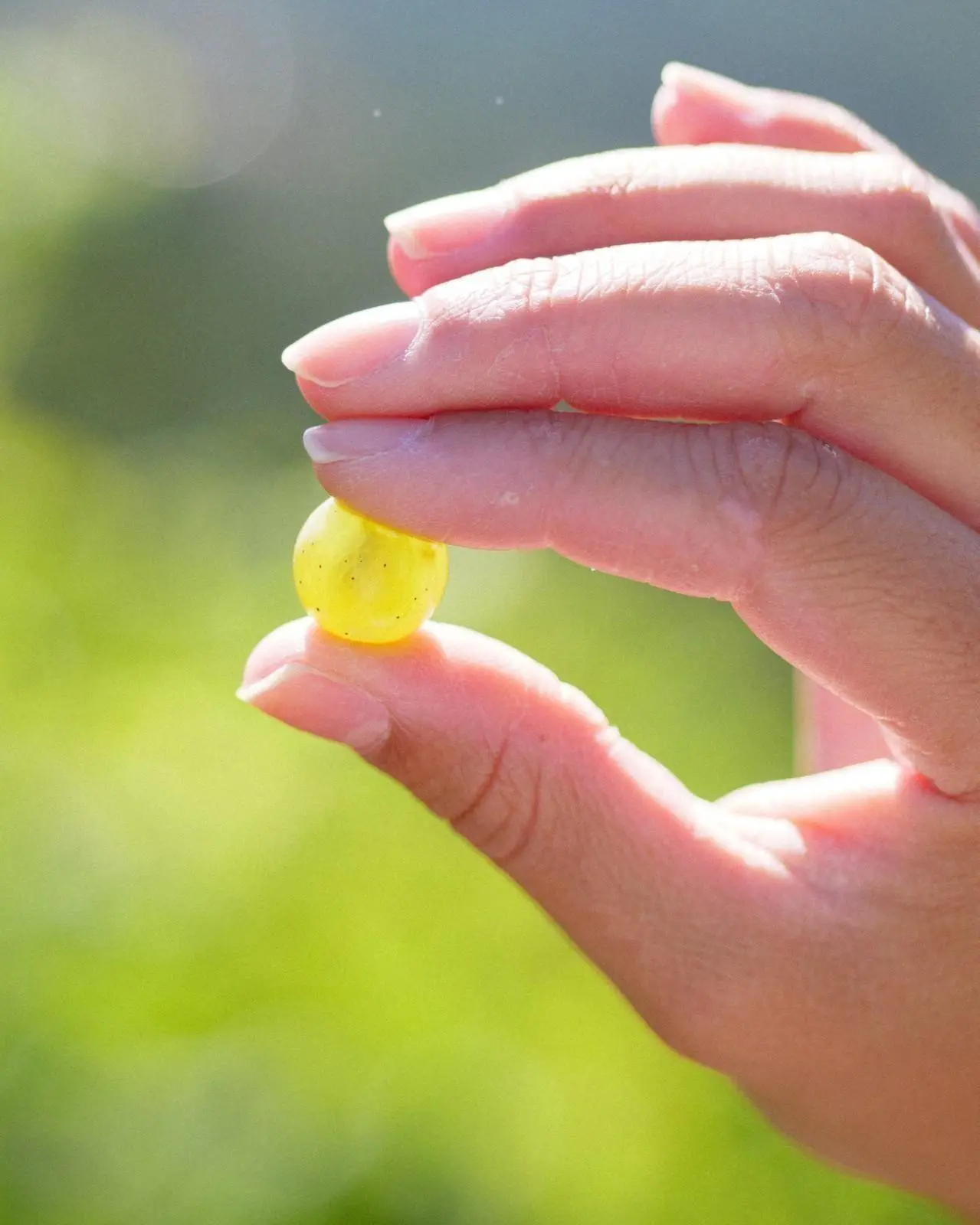 Banner image 1/1