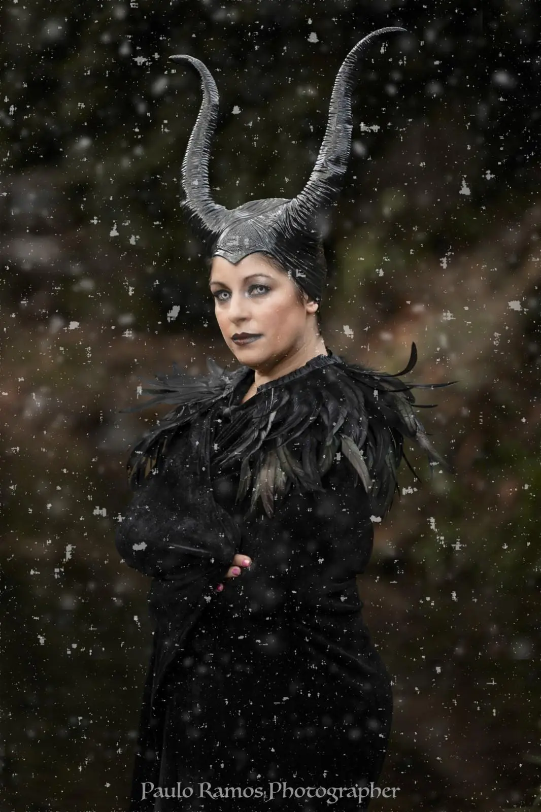Banner image 2/2