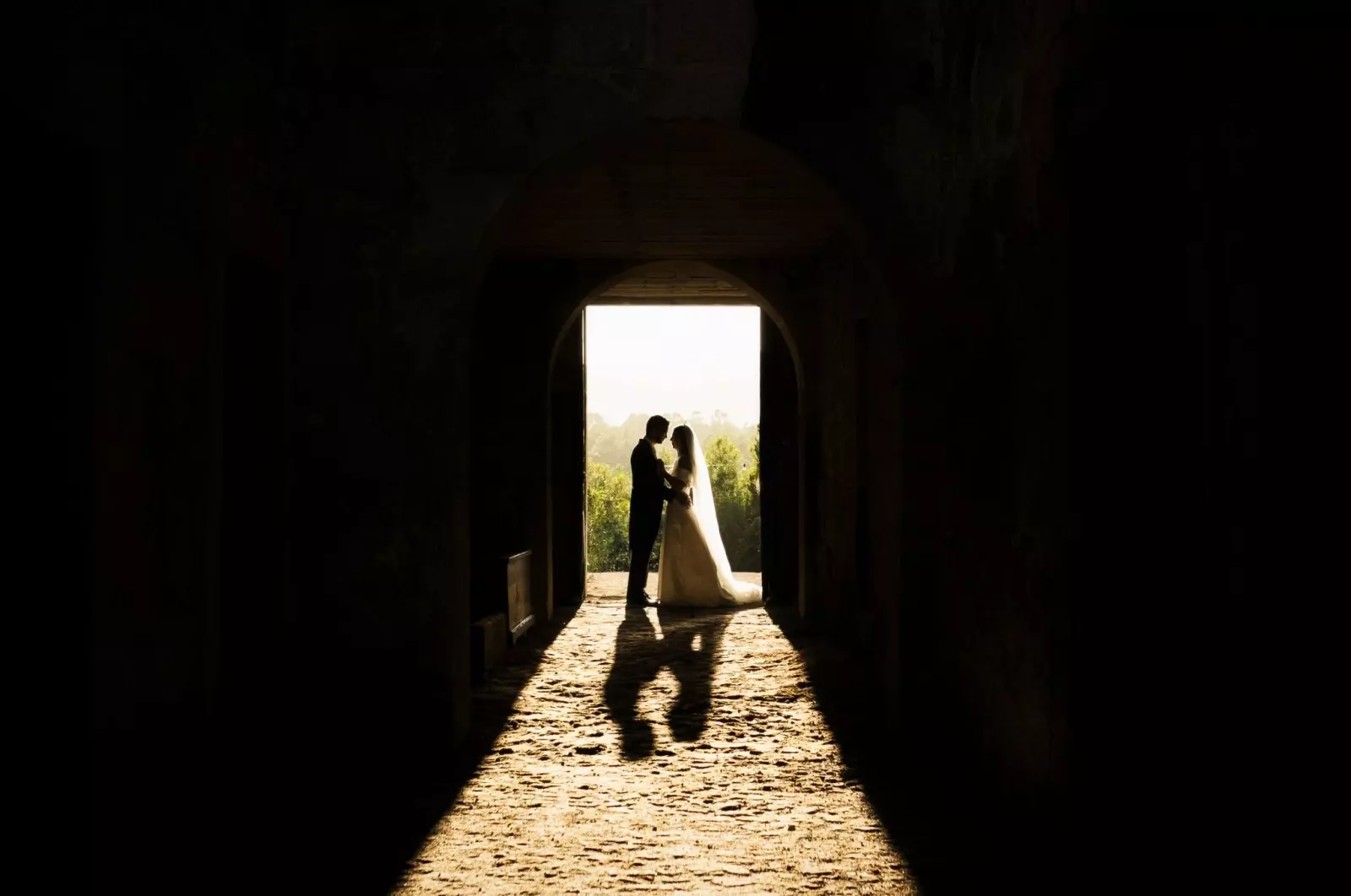 Banner image 2/2