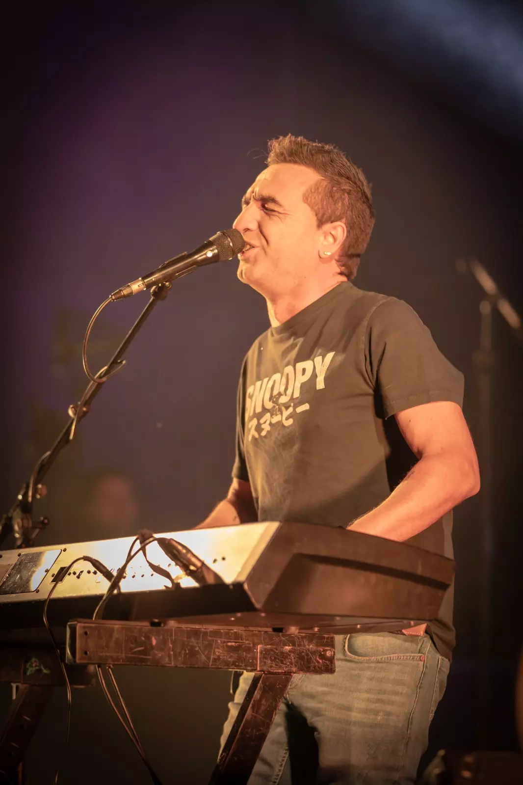 Banner image 6/6