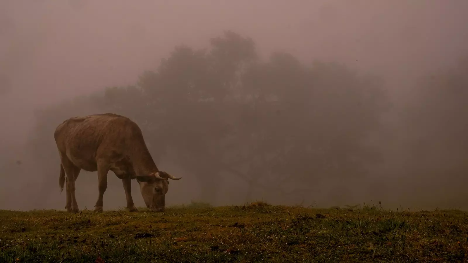 Banner image 0/0